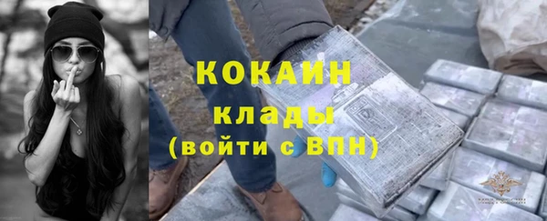 гидра Вязьма