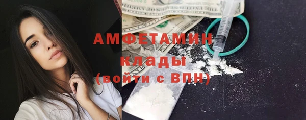 гидра Вязьма