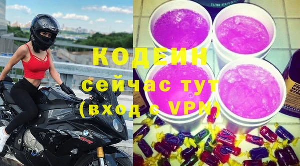 стаф Вяземский