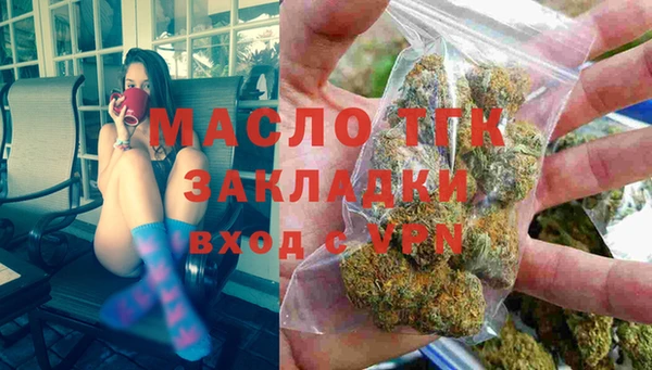 гидра Вязьма