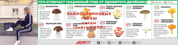 стаф Вяземский