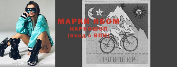 гидра Вязьма