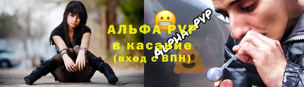 шишки Горнозаводск