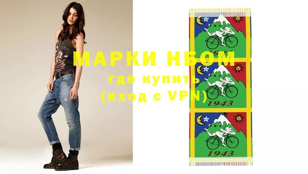 гидра Вязьма