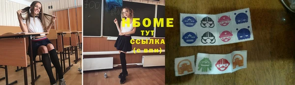 гидра Вязьма