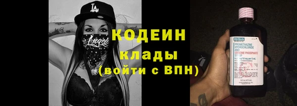 гидра Вязьма