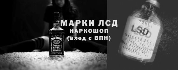 гидра Вязьма