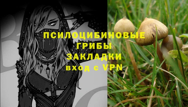 стаф Вяземский