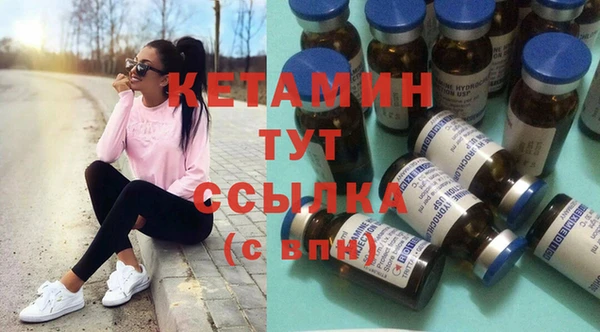 гидра Вязьма