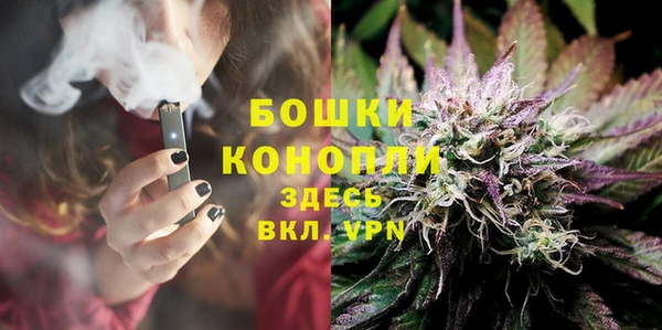 стаф Вяземский