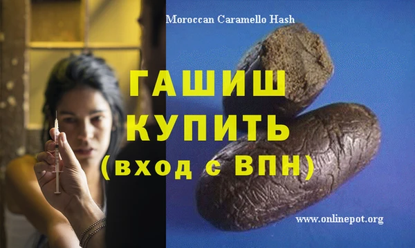 гидра Вязьма