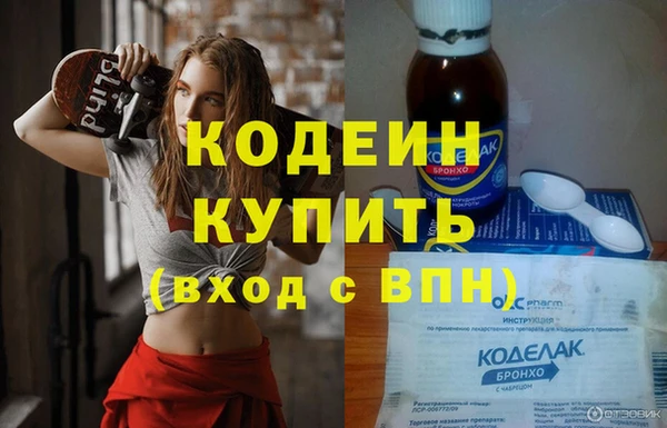 стаф Вяземский