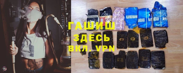 гидра Вязьма