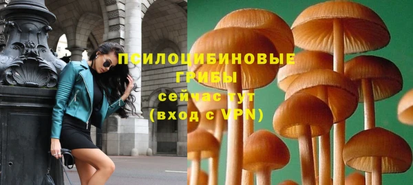 гидра Вязьма