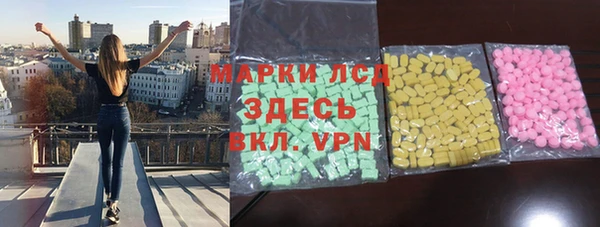 стаф Вяземский