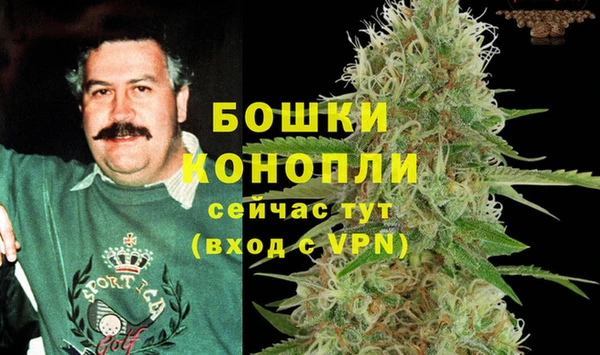 гидра Вязьма
