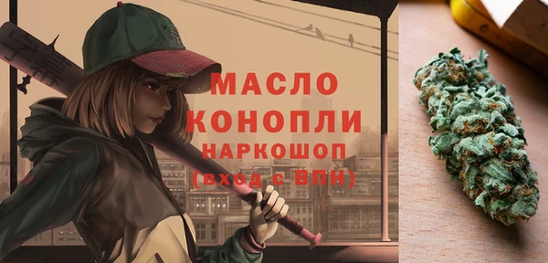 гидра Вязьма