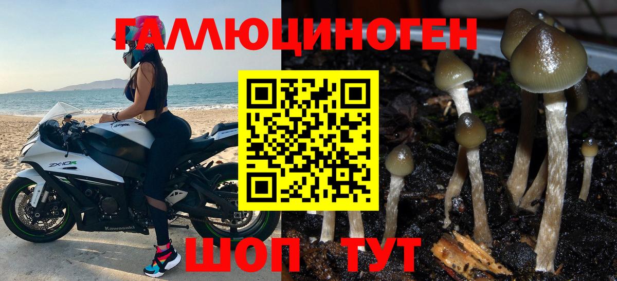 Галлюциногенные грибы ЛСД Десногорск