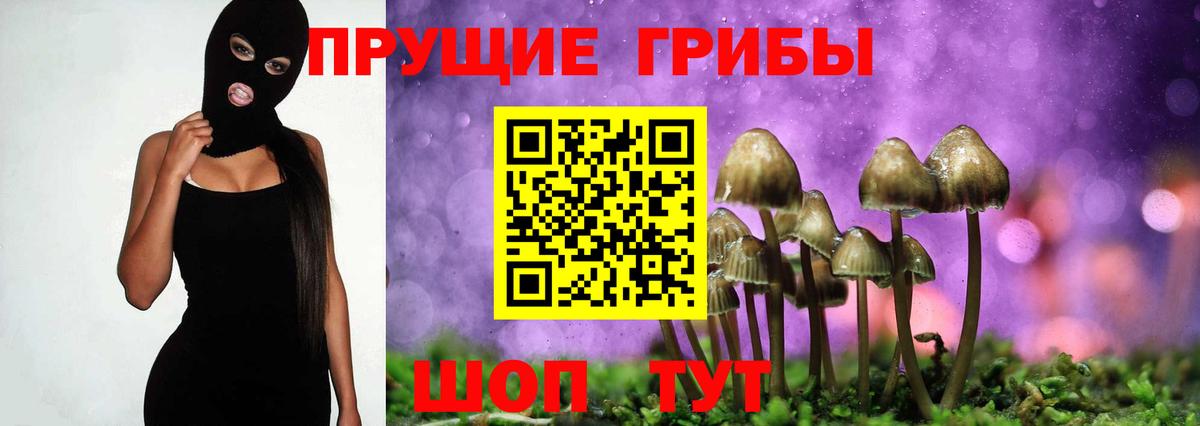 Псилоцибиновые грибы GOLDEN TEACHER  Галлюциногенные грибы Psilocybe  Вход с VPN  Десногорск 